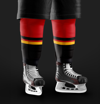 Raptors Socks
