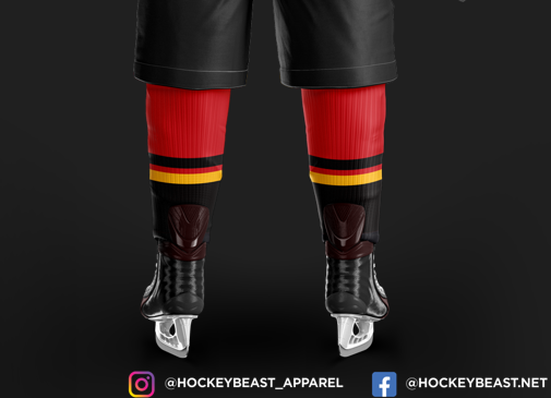 Raptors Socks