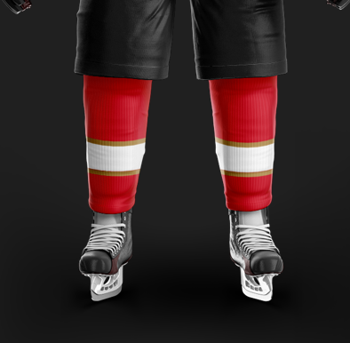 Panther Hawks Socks