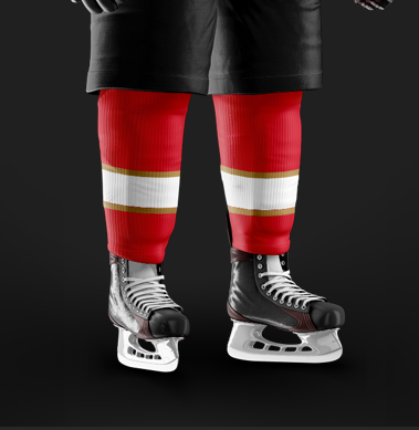 Panther Hawks Socks