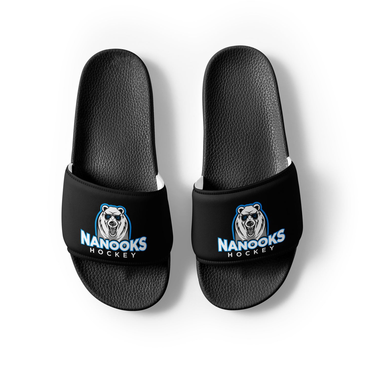 Nanooks Slides